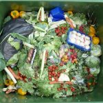 gaspillage-alimentaire-nourriture-poubelle